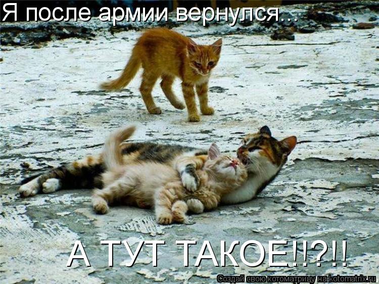 Я после армии вернулся... А ТУТ ТАКОЕ!!?!!... Котоматрица: Я после армии вернулся... А ТУТ ТАКОЕ!!?!!