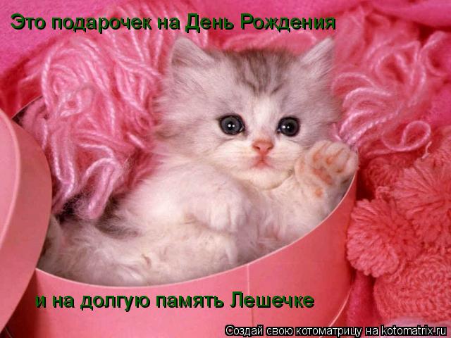 Это подарочек на День Рождения и на долгую память Лешечке... Котоматрица: Это подарочек на День Рождения и на долгую память Лешечке