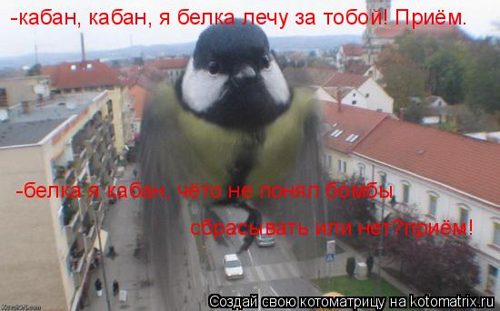 -кабан, кабан, я белка лечу за тобой! Приём. -белка я кабан, чёто не понял бомбы сбрасывать или нет?... Котоматрица: -кабан, кабан, я белка лечу за тобой! Приём. -белка я кабан, чёто не понял бомбы сбрасывать или нет? приём!