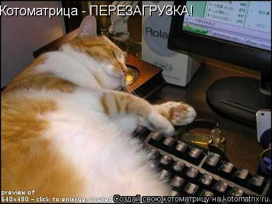 Котоматрица - ПЕРЕЗАГРУЗКА!... Котоматрица: Котоматрица - ПЕРЕЗАГРУЗКА!