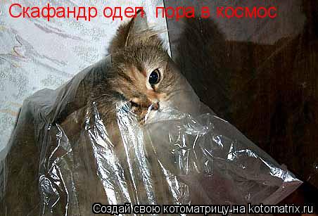 Скафандр одел пора в космос .... Котоматрица: Скафандр одел пора в космос .