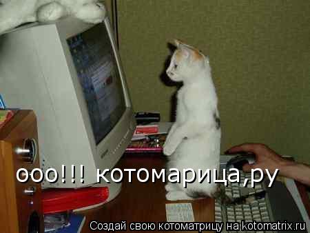ооо!!! котомарица,ру... Котоматрица: ооо!!! котомарица,ру