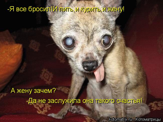 -Я все бросил!И пить,и курить,и жену! А жену зачем? -Да не заслужила она такого счастья!... Котоматрица: -Я все бросил!И пить,и курить,и жену! А жену зачем? -Да не заслужила она такого счастья!