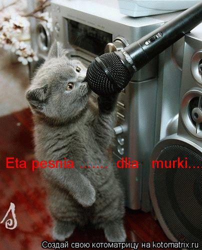 Eta pesnia ....... dlia murki......... Котоматрица: Eta pesnia ....... dlia murki......