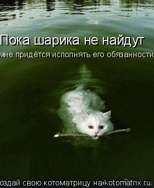 Пока шарика не найдут мне придётся исполнять его обязанности... Котоматрица: Пока шарика не найдут мне придётся исполнять его обязанности
