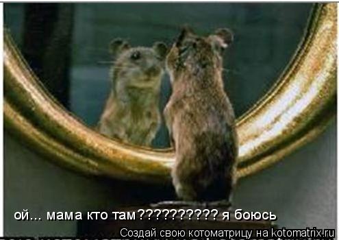 ой... мама кто там?????????? я боюсь... Котоматрица: ой... мама кто там?????????? я боюсь