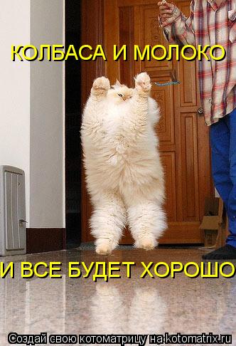 КОЛБАСА И МОЛОКО И ВСЕ БУДЕТ ХОРОШО... Котоматрица: КОЛБАСА И МОЛОКО И ВСЕ БУДЕТ ХОРОШО