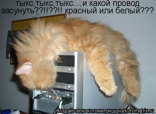 тыкс,тыкс,тыкс...,и какой провод засунуть??!!??!! красный или белый???... Котоматрица: тыкс,тыкс,тыкс...,и какой провод засунуть??!!??!! красный или белый???