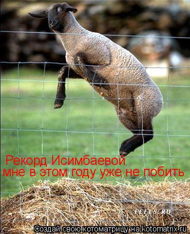 Рекорд Исимбаевой мне в этом году уже не побить... Котоматрица: Рекорд Исимбаевой мне в этом году уже не побить