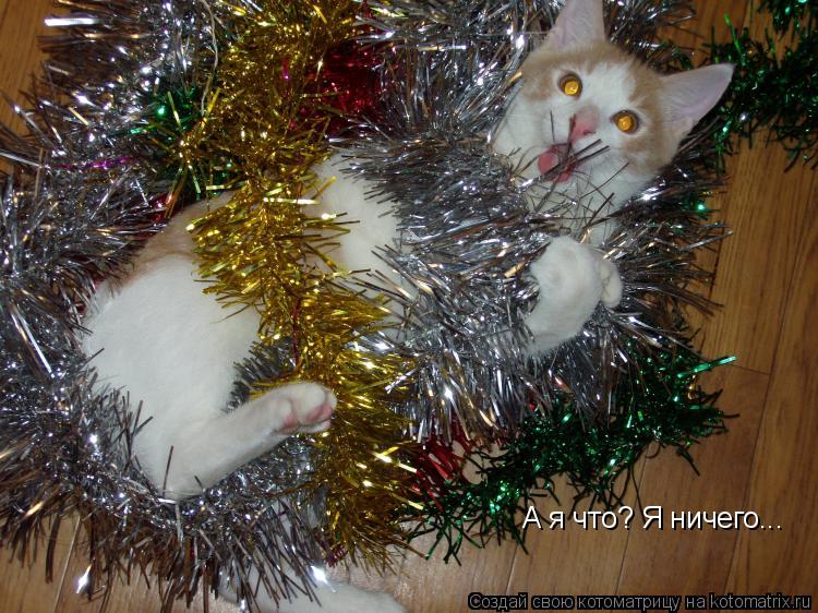 А я что? Я ничего...... Котоматрица: А я что? Я ничего...