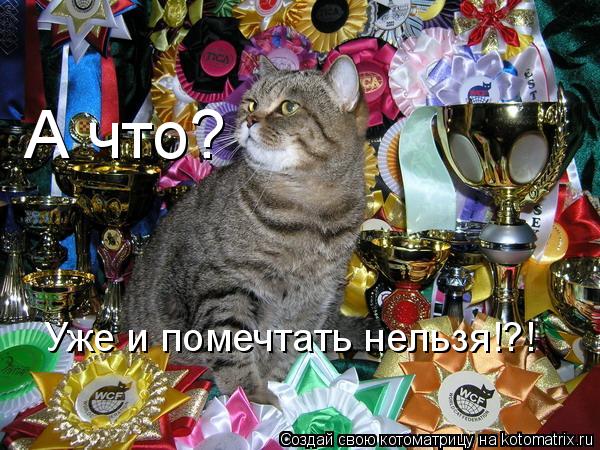 А что? Уже и помечтать нельзя!?!... Котоматрица: А что? Уже и помечтать нельзя!?!