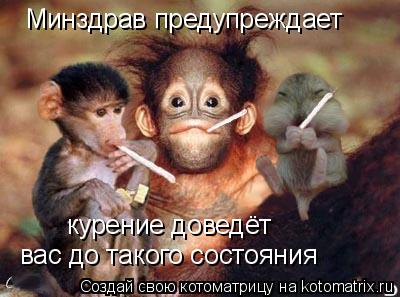 Минздрав предупреждает курение доведёт вас до такого состояния... Котоматрица: Минздрав предупреждает курение доведёт вас до такого состояния