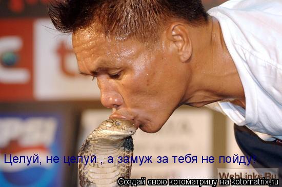Целуй, не целуй , а замуж за тебя не пойду!... Котоматрица: Целуй, не целуй , а замуж за тебя не пойду!
