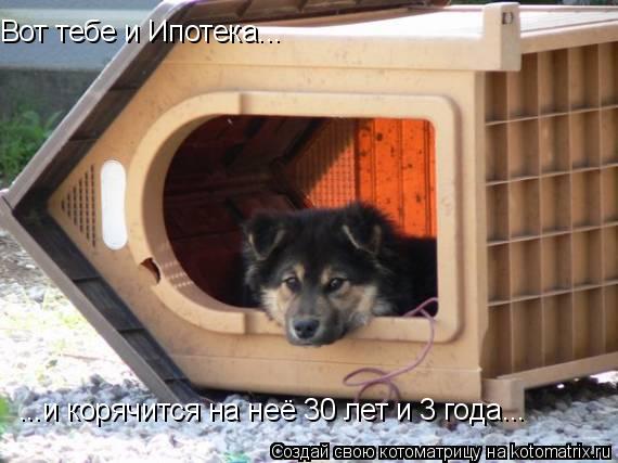 Вот тебе и Ипотека... ...и корячится на неё 30 лет и 3 года...... Котоматрица: Вот тебе и Ипотека... ...и корячится на неё 30 лет и 3 года...