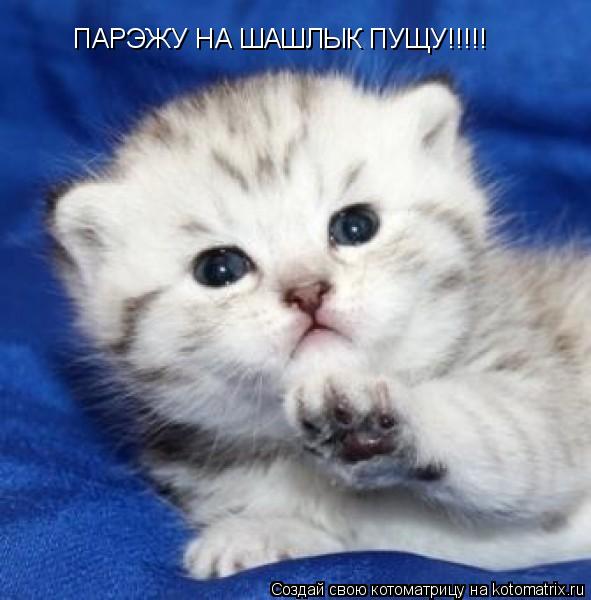 ПАРЭЖУ НА ШАШЛЫК ПУЩУ!!!!!... Котоматрица: ПАРЭЖУ НА ШАШЛЫК ПУЩУ!!!!!