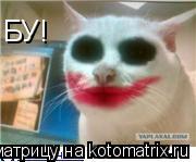 БУ!... Котоматрица: БУ!