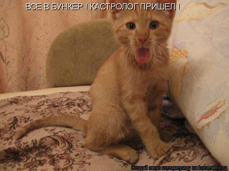 ВСЕ В БУНКЕР ! КАСТРОЛОГ ПРИШЕЛ !... Котоматрица: ВСЕ В БУНКЕР ! КАСТРОЛОГ ПРИШЕЛ !