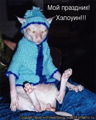 Мой праздник! Хэлоуин!!!... Котоматрица: Мой праздник! Хэлоуин!!!