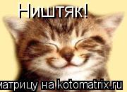 Ништяк!... Котоматрица: Ништяк!