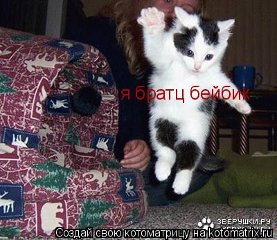 я братц бейбик... Котоматрица: я братц бейбик