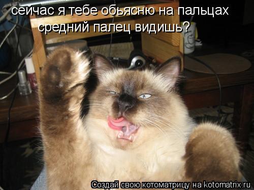 сейчас я тебе обьясню на пальцах средний палец видишь?... Котоматрица: сейчас я тебе обьясню на пальцах средний палец видишь?