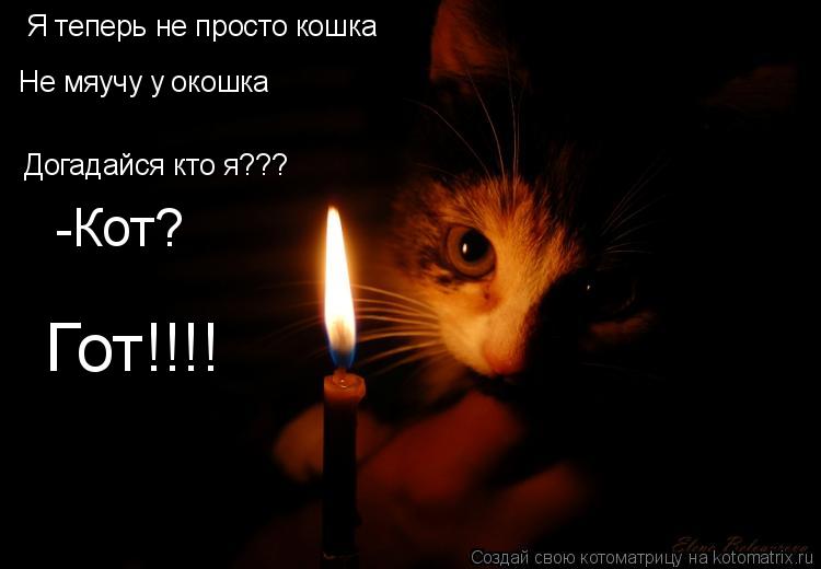 Я теперь не просто кошка Не мяучу у окошка Догадайся кто я??? -Кот? Гот!!!!... Котоматрица: Я теперь не просто кошка Не мяучу у окошка Догадайся кто я??? -Кот? Гот!!!!