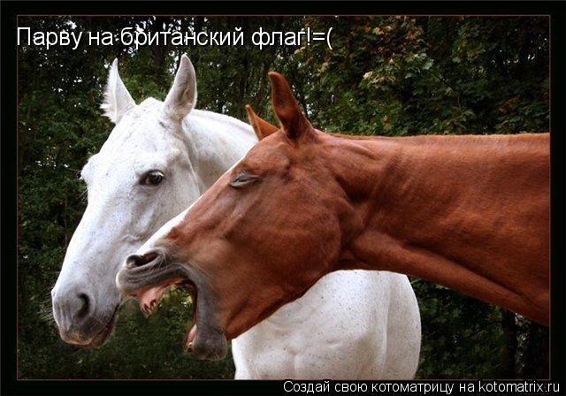 Парву на британский флаг!=(... Котоматрица: Парву на британский флаг!=(
