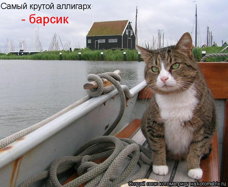 Самый крутой аллигарх - барсик... Котоматрица: Самый крутой аллигарх - барсик