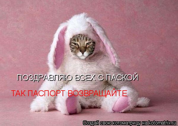 ПОЗДРАВЛЯЮ ВСЕХ С ПАСКОЙ ТАК ПАСПОРТ ВОЗВРАЩАЙТЕ... Котоматрица: ПОЗДРАВЛЯЮ ВСЕХ С ПАСКОЙ ТАК ПАСПОРТ ВОЗВРАЩАЙТЕ