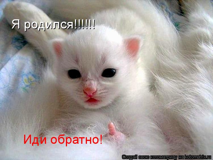 Я родился!!!!!! Иди обратно!... Котоматрица: Я родился!!!!!! Иди обратно!