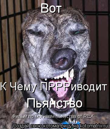 Вот К Чему ПРРРиводит Пьянство Фильм по мотивам пьянства от REX... Котоматрица: Вот К Чему ПРРРиводит Пьянство Фильм по мотивам пьянства от REX