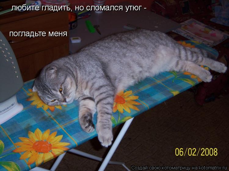 любите гладить, но сломался утюг - погладьте меня... Котоматрица: любите гладить, но сломался утюг - погладьте меня
