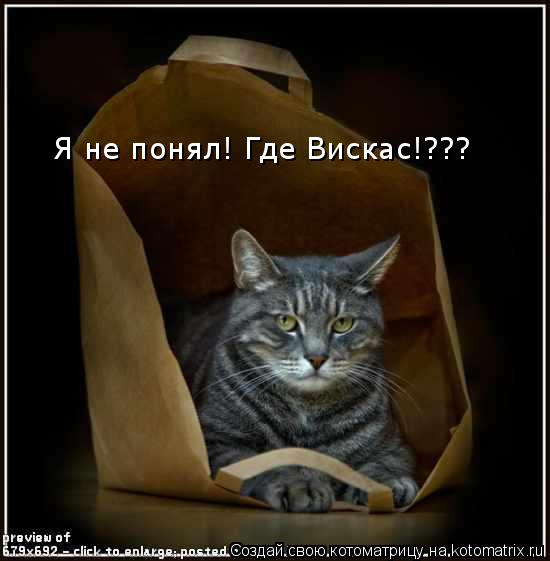 Я не понял! Где Вискас!???... Котоматрица: Я не понял! Где Вискас!???