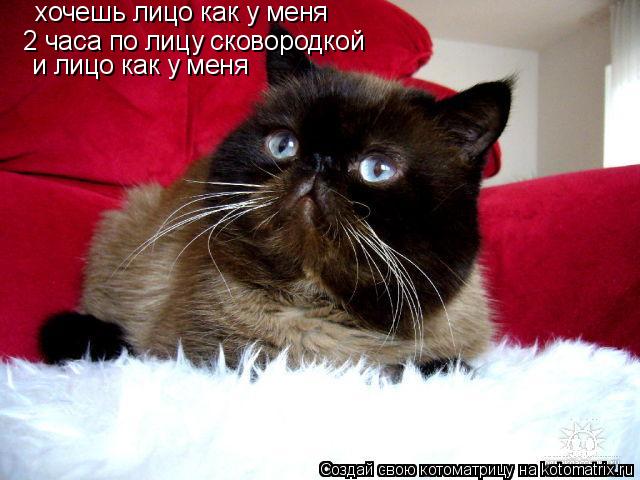 хочешь лицо как у меня 2 часа по лицу сковородкой и лицо как у меня... Котоматрица: хочешь лицо как у меня 2 часа по лицу сковородкой и лицо как у меня