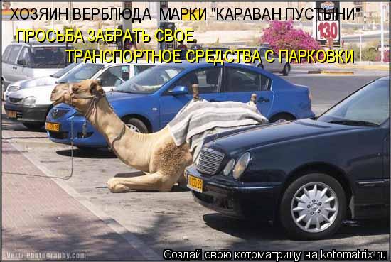ХОЗЯИН ВЕРБЛЮДА МАРКИ "КАРАВАН ПУСТЫНИ" ПРОСЬБА ЗАБРАТЬ СВОЕ ТРАНСПОРТНОЕ СРЕДСТВА С ПАРКОВКИ... Котоматрица: ХОЗЯИН ВЕРБЛЮДА МАРКИ "КАРАВАН ПУСТЫНИ" ПРОСЬБА ЗАБРАТЬ СВОЕ ТРАНСПОРТНОЕ СРЕДСТВА С ПАРКОВКИ