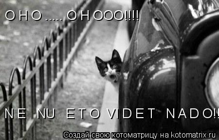 O H O ..... O H OOO!!!! N E NU E T O VI D E T N A D O!!!!... Котоматрица: O H O ..... O H OOO!!!! N E NU E T O VI D E T N A D O!!!!