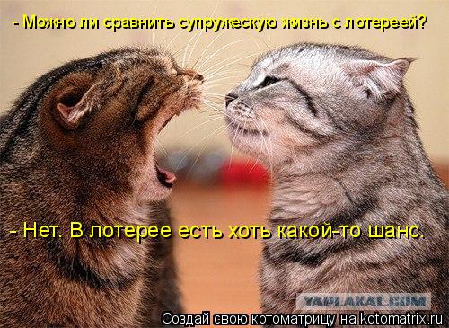 - Можно ли сравнить супружескую жизнь с лотереей? - Нет. В лотерее есть хоть какой-то шанс.... Котоматрица: - Можно ли сравнить супружескую жизнь с лотереей? - Нет. В лотерее есть хоть какой-то шанс.