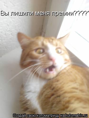 Вы лишили меня премии???????... Котоматрица: Вы лишили меня премии???????