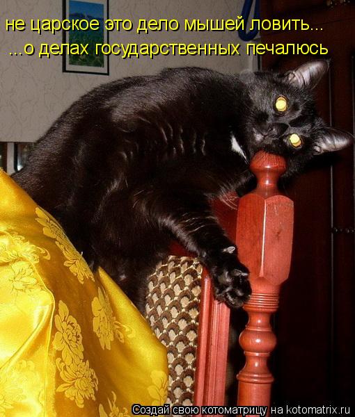 не царское это дело мышей ловить... ...о делах государственных печалюсь... Котоматрица: не царское это дело мышей ловить... ...о делах государственных печалюсь