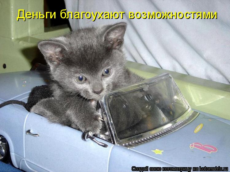Деньги благоухают возможностями... Котоматрица: Деньги благоухают возможностями