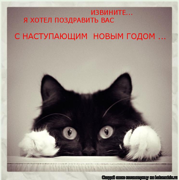 ИЗВИНИТЕ... Я ХОТЕЛ ПОЗДРАВИТЬ ВАС С НАСТУПАЮЩИМ НОВЫМ ГОДОМ ...... Котоматрица: ИЗВИНИТЕ... Я ХОТЕЛ ПОЗДРАВИТЬ ВАС С НАСТУПАЮЩИМ НОВЫМ ГОДОМ ...