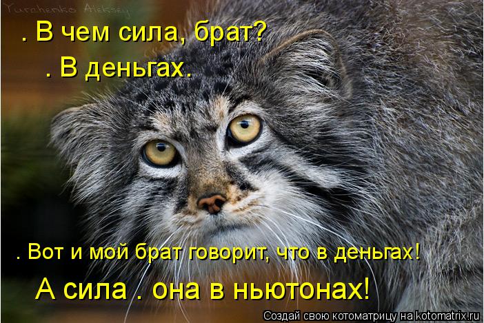 — В чем сила, брат? — В деньгах. — Вот и мой брат говорит, что в деньгах! А сила — она в ньютонах!... Котоматрица: — В чем сила, брат? — В деньгах. — Вот и мой брат говорит, что в деньгах! А сила — она в ньютонах!