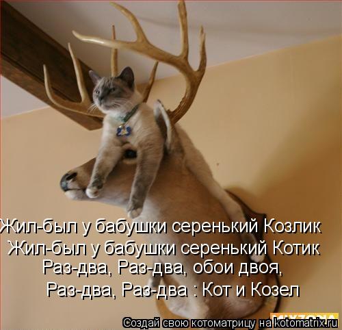 Жил-был у бабушки серенький Козлик Жил-был у бабушки серенький Котик Раз-два, Раз-два, обои двоя, Ра... Котоматрица: Жил-был у бабушки серенький Козлик Жил-был у бабушки серенький Котик Раз-два, Раз-два, обои двоя, Раз-два, Раз-два : Кот и Козел