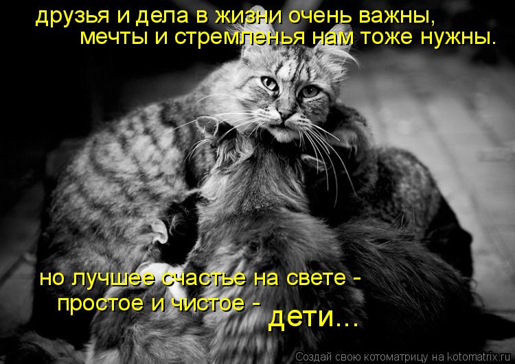 друзья и дела в жизни очень важны, мечты и стремленья нам тоже нужны. но лучшее счастье на свете - пр... Котоматрица: друзья и дела в жизни очень важны, мечты и стремленья нам тоже нужны. но лучшее счастье на свете - простое и чистое - дети...