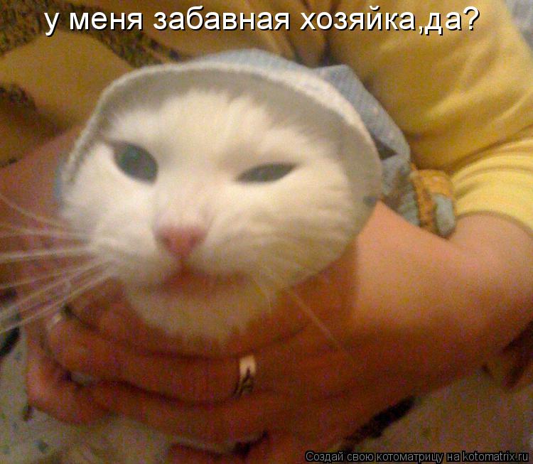 у меня забавная хозяйка,да?... Котоматрица: у меня забавная хозяйка,да?