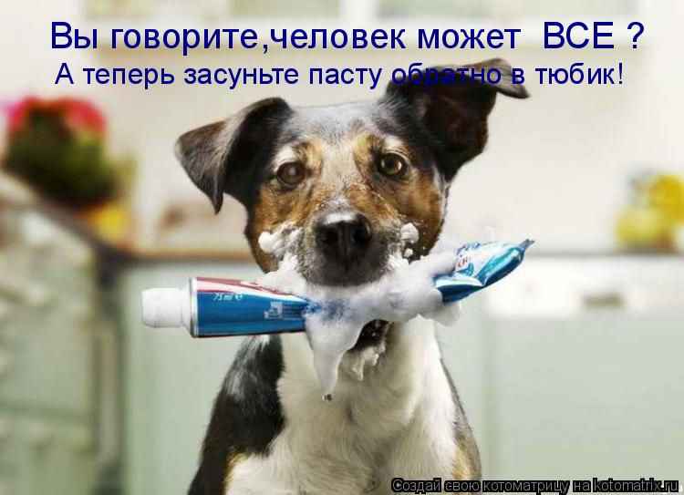 Вы говорите,человек может ВСЕ ? А теперь засуньте пасту обратно в тюбик!... Котоматрица: Вы говорите,человек может ВСЕ ? А теперь засуньте пасту обратно в тюбик!