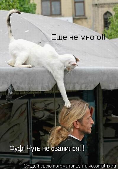 Ещё не много!!! Ещё не много!!! Фуф! Чуть не свалился!!!... Котоматрица: Ещё не много!!! Ещё не много!!! Фуф! Чуть не свалился!!!