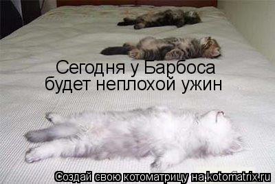 Сегодня у Барбоса будет неплохой ужин... Котоматрица: Сегодня у Барбоса будет неплохой ужин