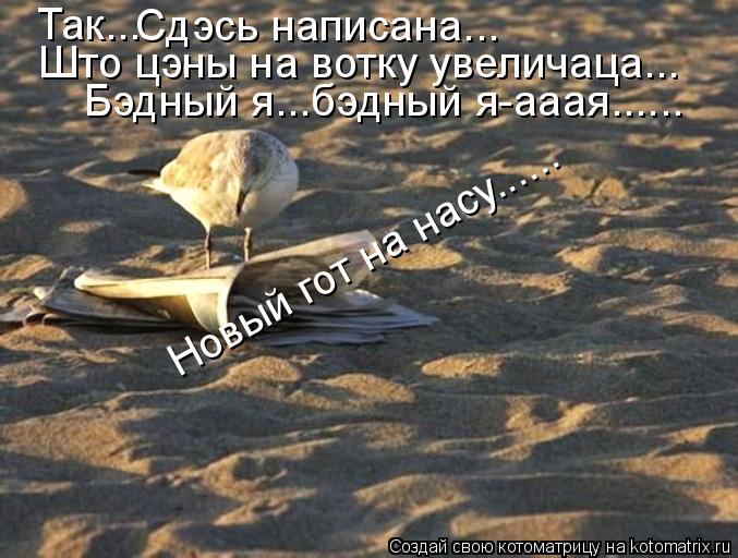 Так... Сдэсь написана... Што цэны на вотку увеличаца... Бэдный я...бэдный я-ааая...... Новый гот на н... Котоматрица: Так... Сдэсь написана... Што цэны на вотку увеличаца... Бэдный я...бэдный я-ааая...... Новый гот на насу......