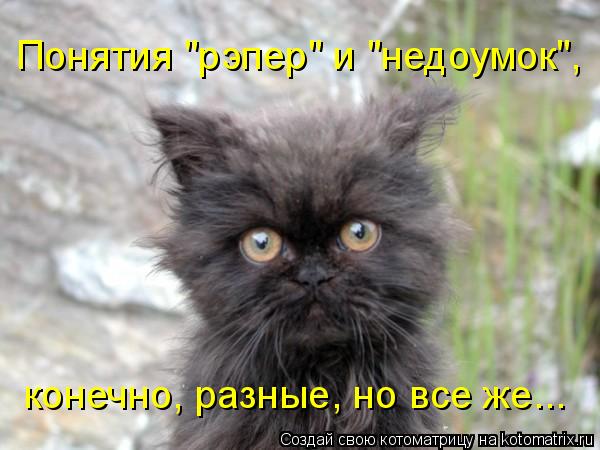 Понятия "рэпер" и "недоумок", конечно, разные, но все же...... Котоматрица: Понятия "рэпер" и "недоумок", конечно, разные, но все же...